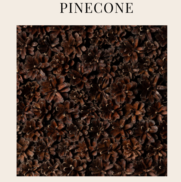 EmotionWood PINECONE EmotionWood Forest Series