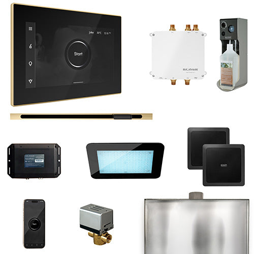 Mr. Steam Black Fascia / Polished Brass Mr. Steam Bliss Linear Steam Control Package