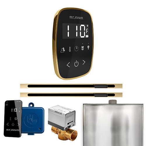 Mr. Steam Black Fascia / Polished Brass Mr.Steam ButlerFlex Max Linear Steam Shower Control Package