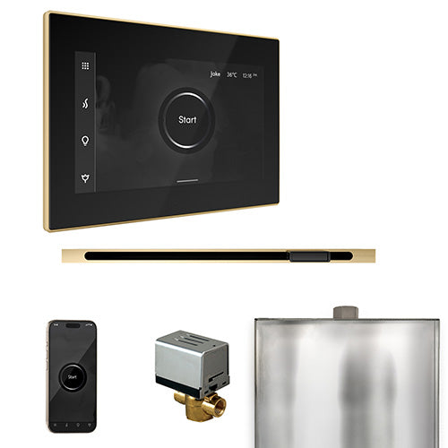 Mr. Steam Black Fascia / Polished Brass Mr. Steam XButler Linear Control Package
