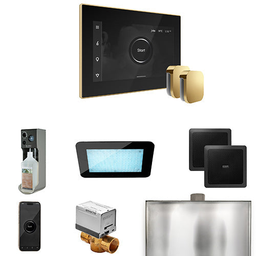 Mr. Steam Black Fascia / Polished Brass Mr. Steam XDream Max Control Package
