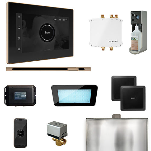 Mr. Steam Black Fascia / Polished Gold Mr. Steam Bliss Linear Steam Control Package