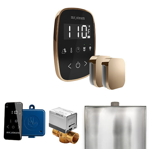 Mr. Steam Black Fascia / Polished Gold Mr.Steam ButlerFlex Max Steam Shower Control Package