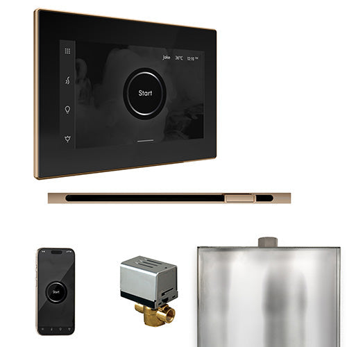 Mr. Steam Black Fascia / Polished Gold Mr. Steam XButler Linear Control Package