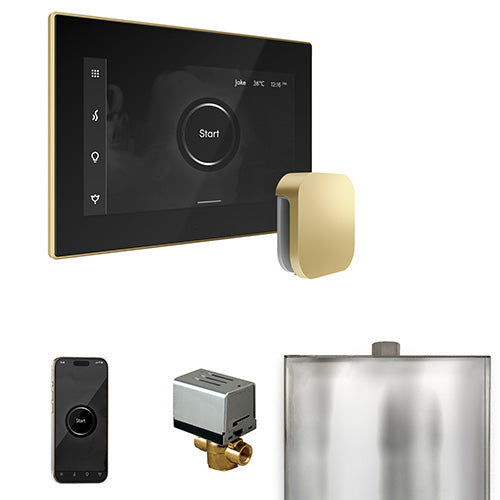 Mr. Steam Black Fascia / Satin Brass Mr. Steam XButler Control Package