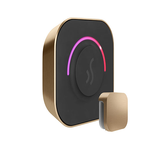 Mr. Steam Brushed Bronze Mr.Steam TempoTouch Steam Shower Control
