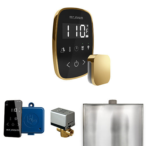 Mr. Steam Polished Brass / Black Fascia Mr.Steam ButlerFlex Steam Shower Control Package