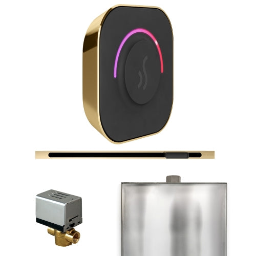 Mr. Steam Polished Brass Mr.Steam ButlerTouch Linear Steam Shower Control Package