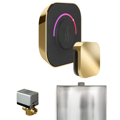 Mr. Steam Polished Brass Mr.Steam ButlerTouch Steam Shower Control Package