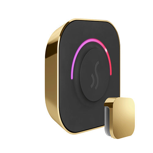Mr. Steam Polished Brass Mr.Steam TempoTouch Steam Shower Control