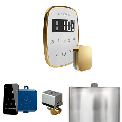 Mr. Steam Polished Brass / White Fascia Mr.Steam ButlerFlex Steam Shower Control Package