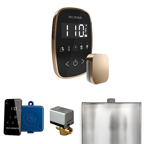 Mr. Steam Polished Gold / Black Fascia Mr.Steam ButlerFlex Steam Shower Control Package
