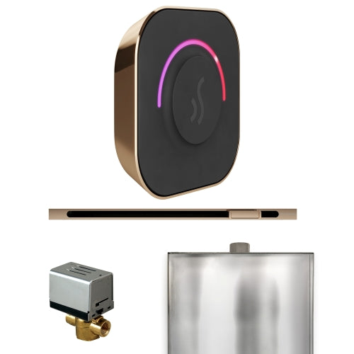 Mr. Steam Polished Gold Mr.Steam ButlerTouch Linear Steam Shower Control Package