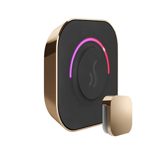 Mr. Steam Polished Gold Mr.Steam TempoTouch Steam Shower Control