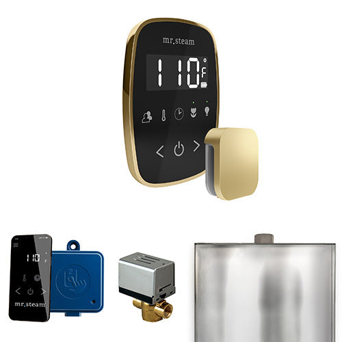 Mr. Steam Satin Brass / Black Fascia Mr.Steam ButlerFlex Steam Shower Control Package