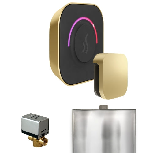 Mr. Steam Satin Brass Mr.Steam ButlerTouch Steam Shower Control Package