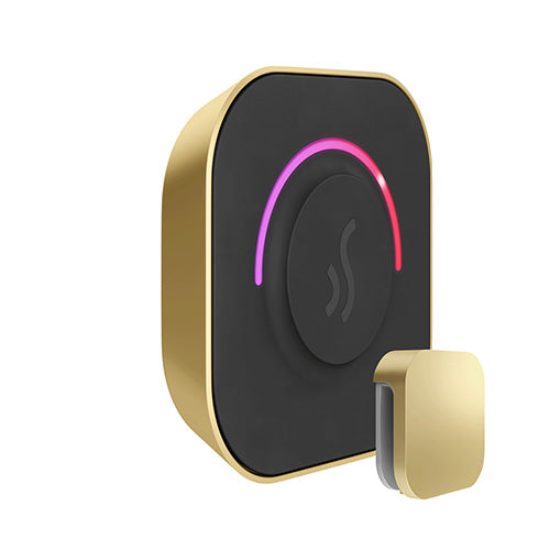 Mr. Steam Satin Brass Mr.Steam TempoTouch Steam Shower Control