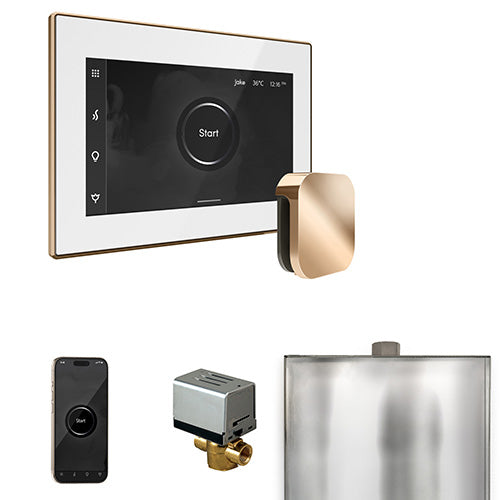 Mr. Steam White Fascia / Polished Gold Mr. Steam XButler Control Package