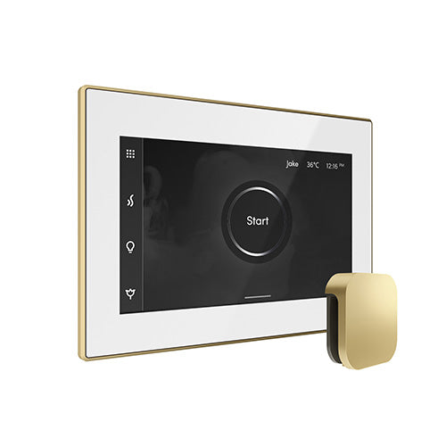 Mr. Steam White Fascia / Satin Brass Mr. Steam iSteamX Steam Shower Control and Aroma Glass SteamHead