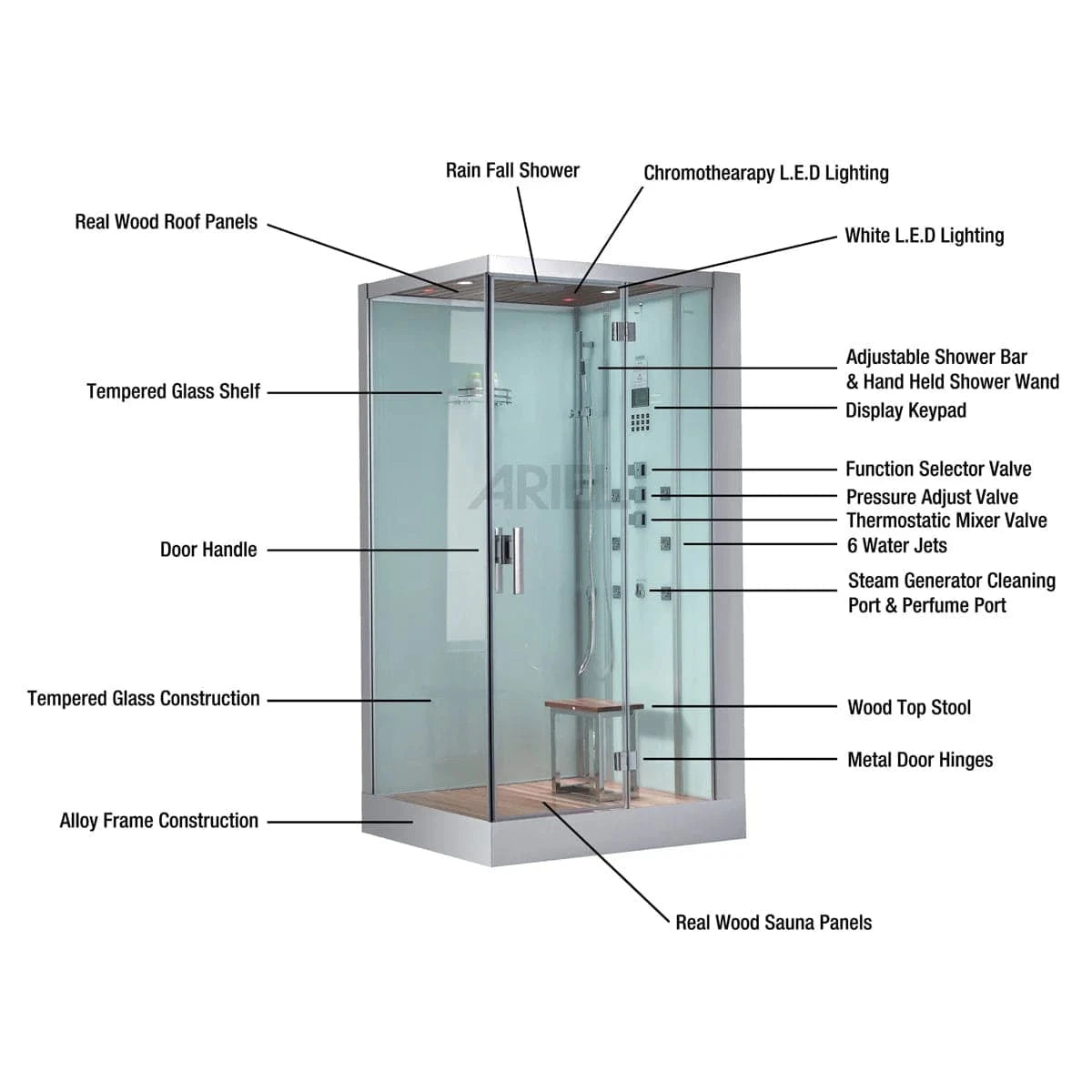 Platinum Steam Shower Platinum DZ959F8 2 Person Walk-In Steam Shower