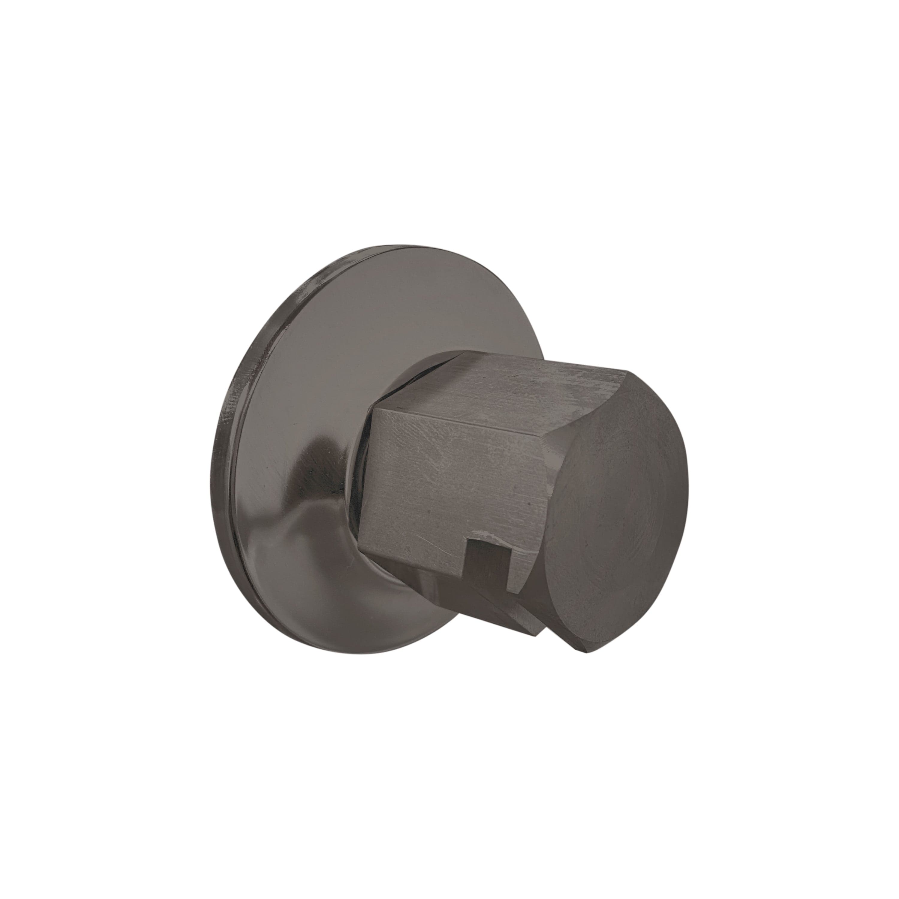 ThermaSol Black Nickel ThermaSol TSS Traditional 3/4 in Style Steam Head