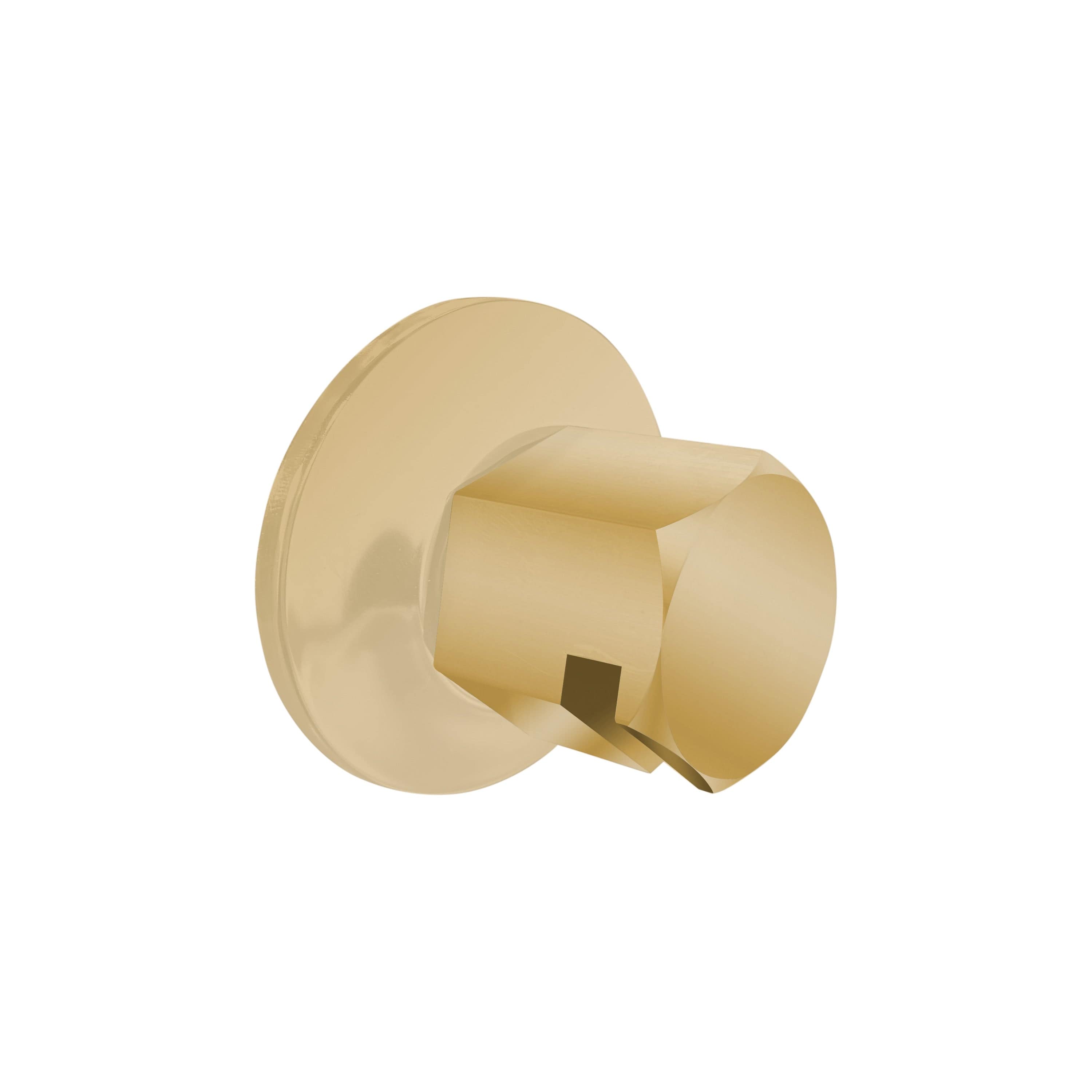 ThermaSol Polished Brass ThermaSol TSS Traditional 3/4 in Style Steam Head