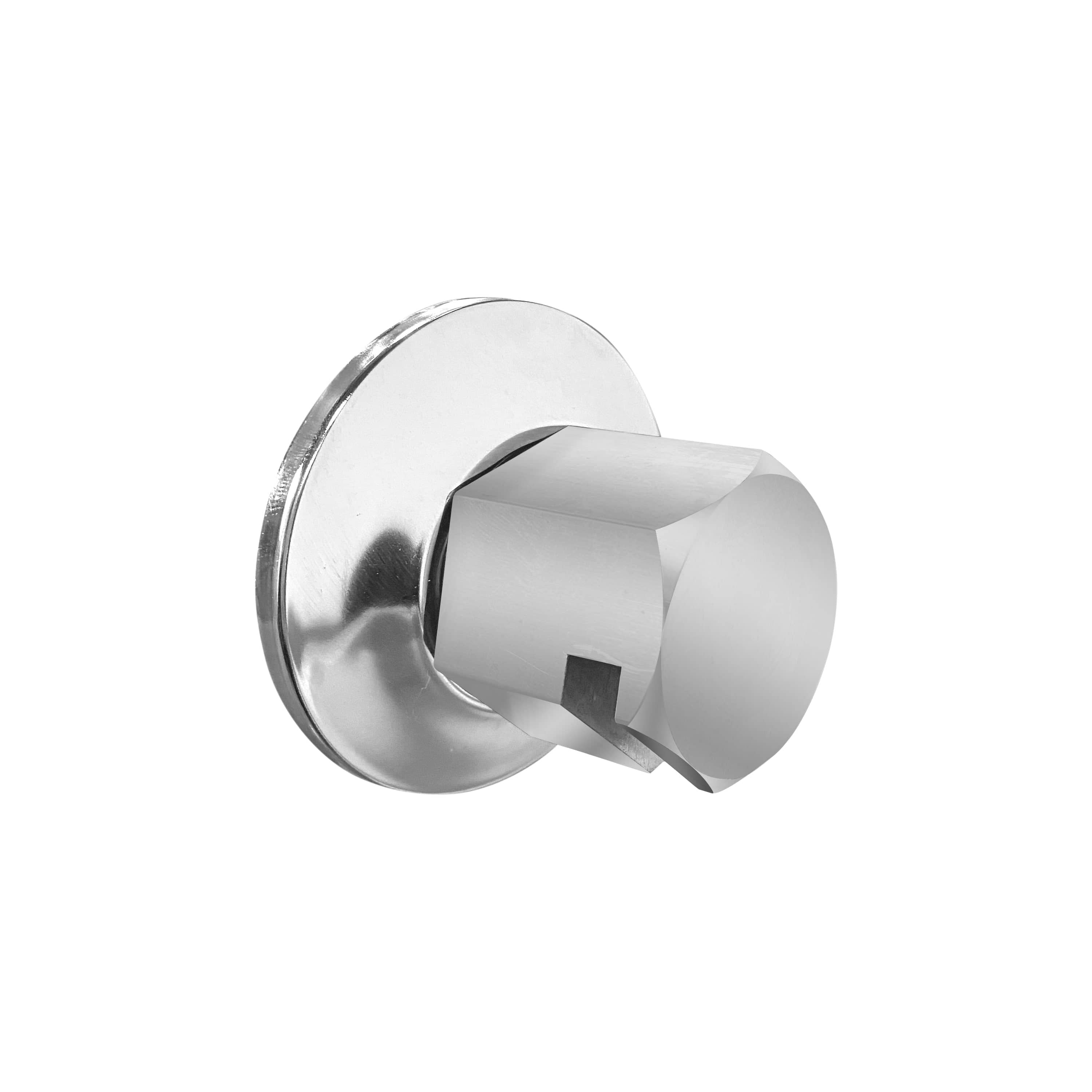 ThermaSol Polished Chrome ThermaSol TSS Traditional 3/4 in Style Steam Head