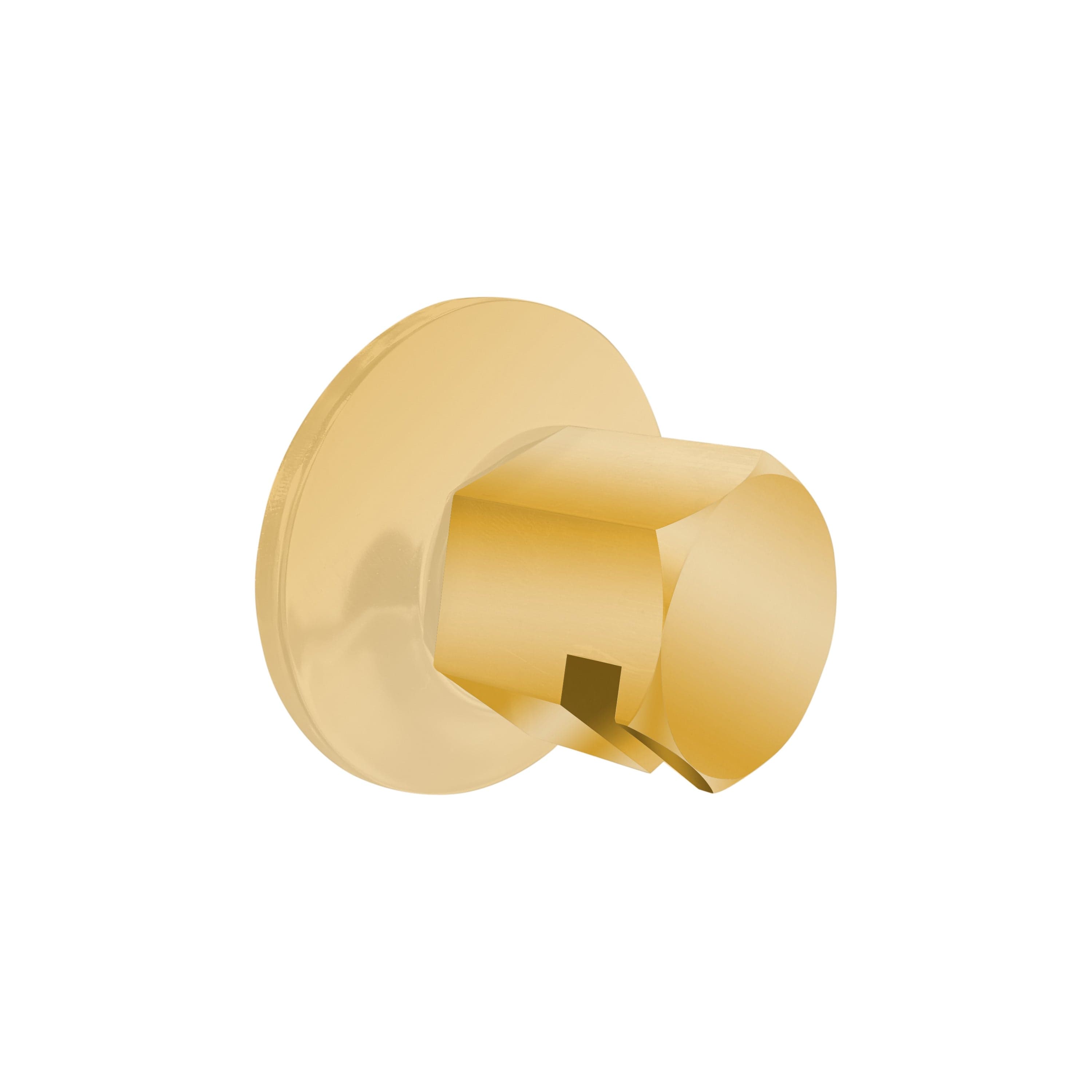 ThermaSol Polished Gold ThermaSol TSS Traditional 3/4 in Style Steam Head