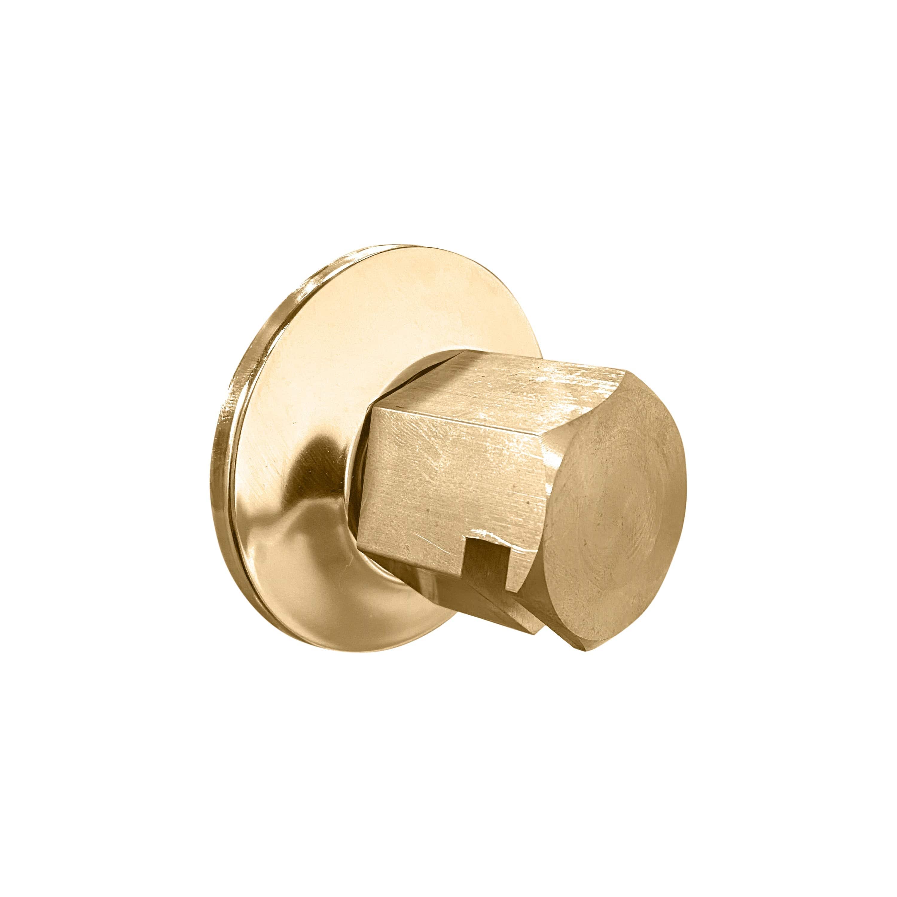 ThermaSol Satin Brass ThermaSol TSS Traditional 3/4 in Style Steam Head