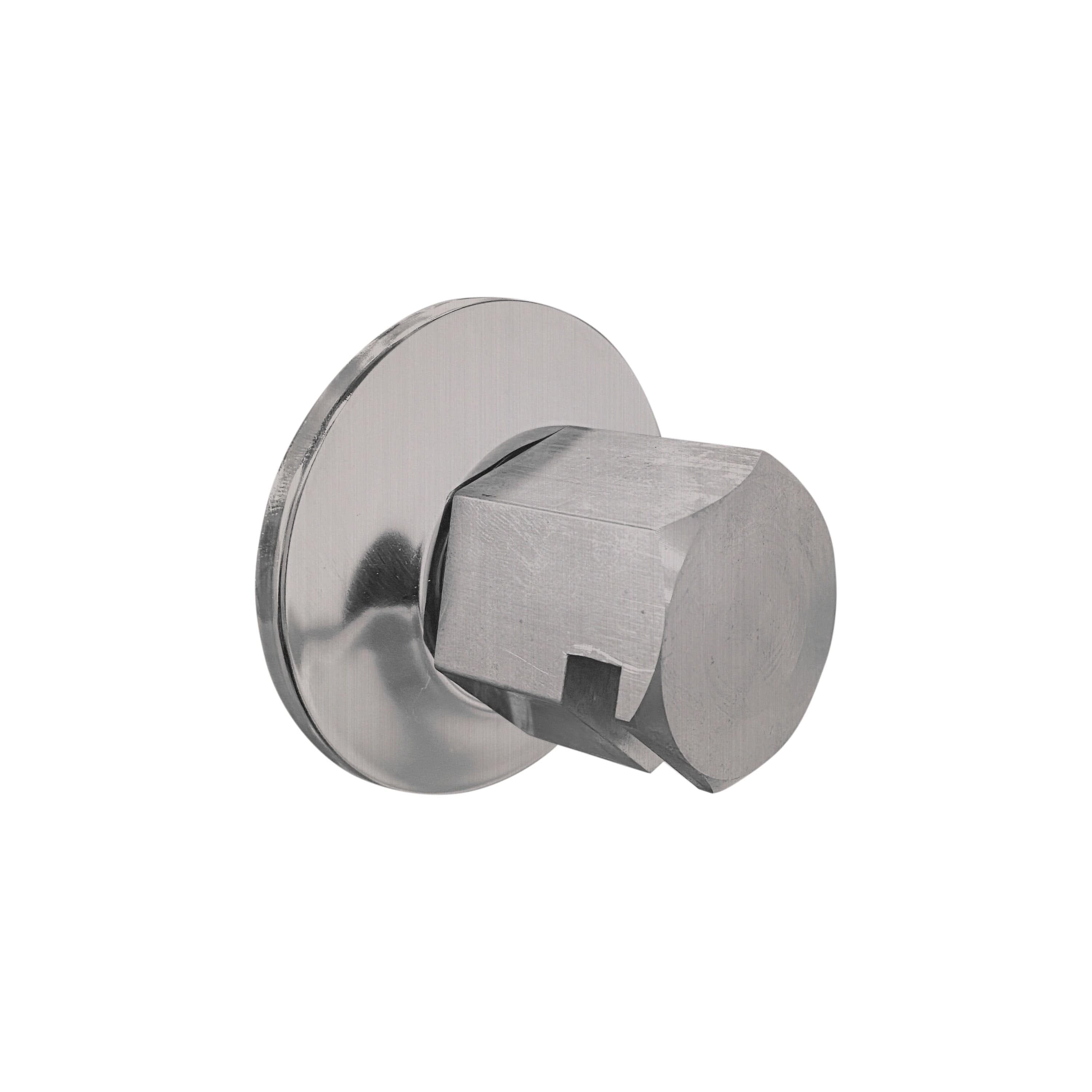 ThermaSol Satin Chrome ThermaSol TSS Traditional 3/4 in Style Steam Head