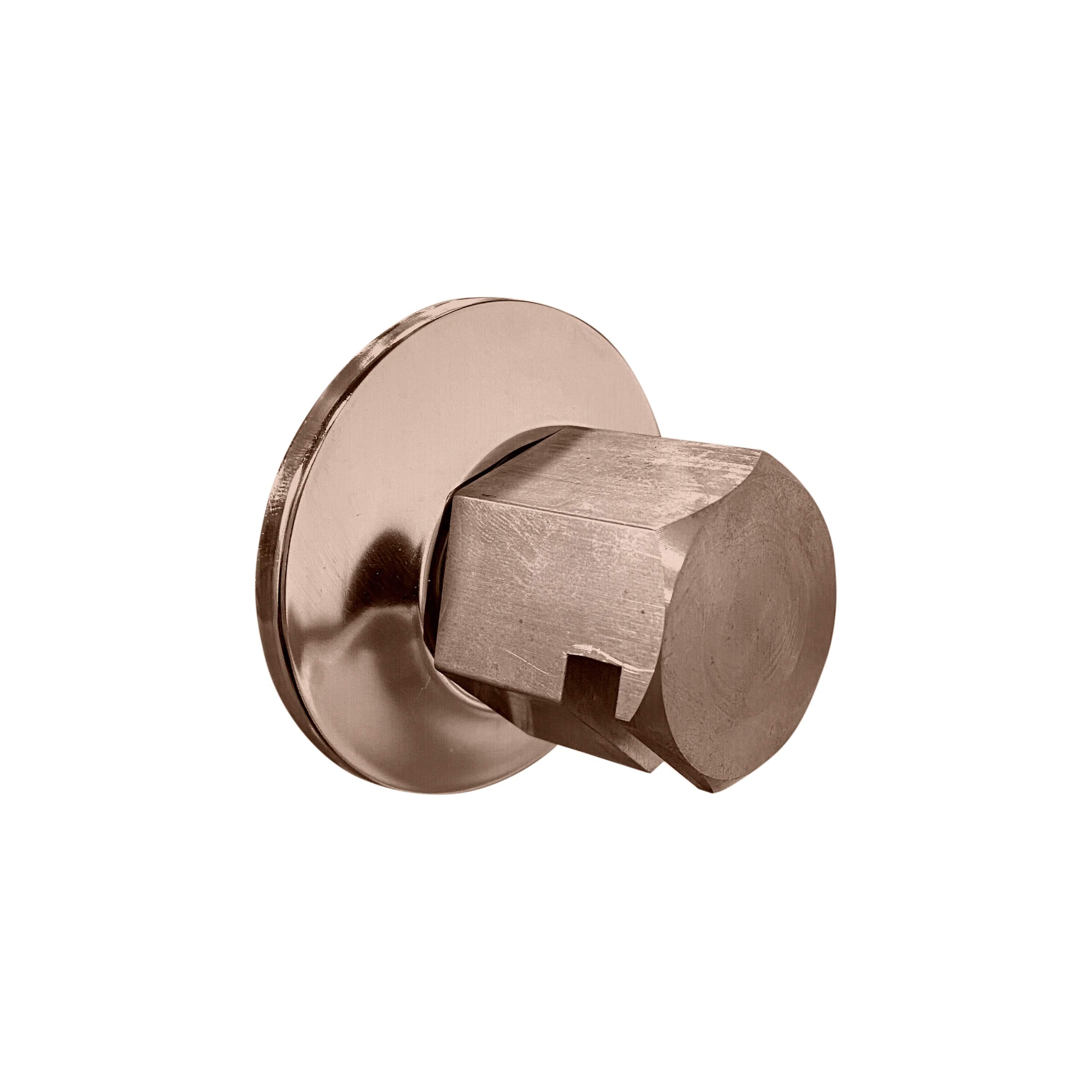 ThermaSol Satin Nickel ThermaSol TSS Traditional 3/4 in Style Steam Head