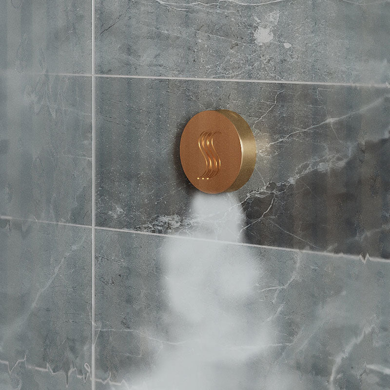 ThermaSol ThermaSol Total Wellness Shower Package with 10" ThermaTouch Round