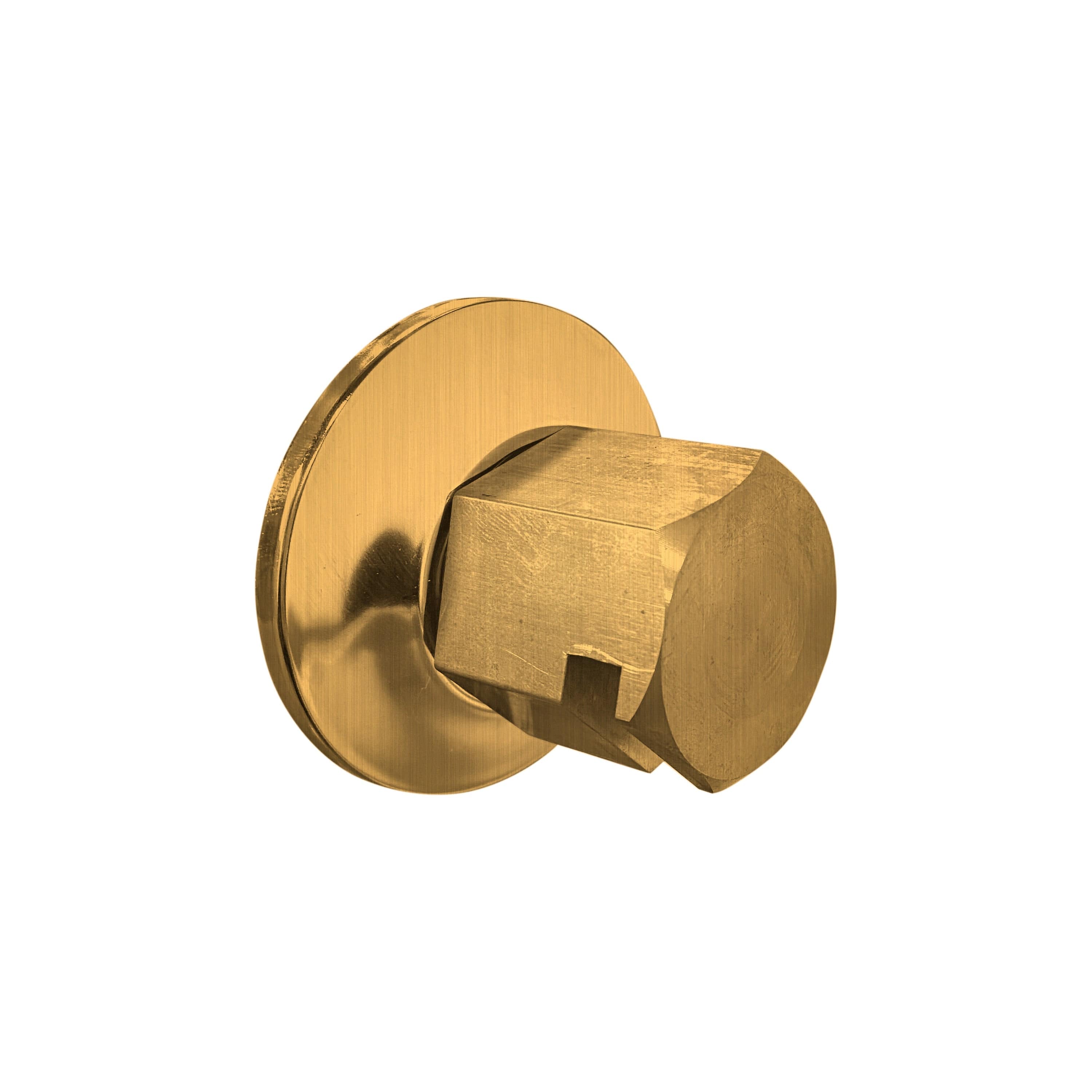ThermaSol ThermaSol TSS Traditional 3/4 in Style Steam Head