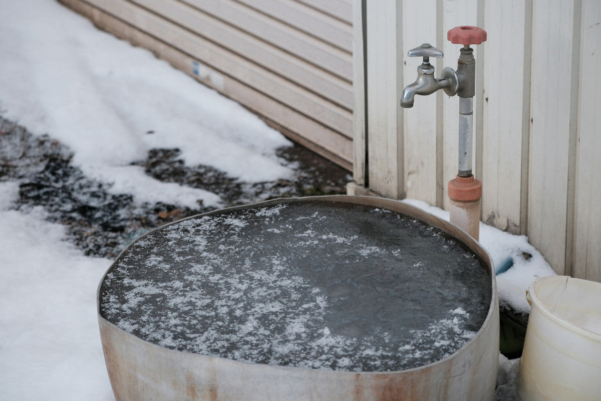 Should I Cold Plunge Before or After Sauna?