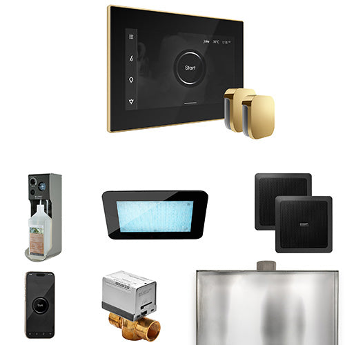 Mr. Steam Black Fascia / Polished Brass Mr. Steam XDream Max Control Package