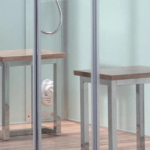 Platinum Steam Shower Platinum DZ961F8 2 Person Walk-In Steam Shower