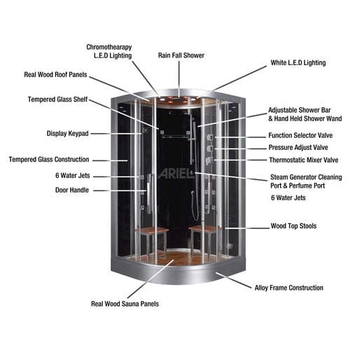 Platinum Steam Shower Platinum DZ962F8 2-Person Walk-In Steam Shower