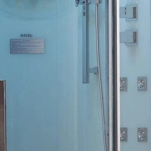 Platinum Steam Shower Platinum DZ962F8 2-Person Walk-In Steam Shower