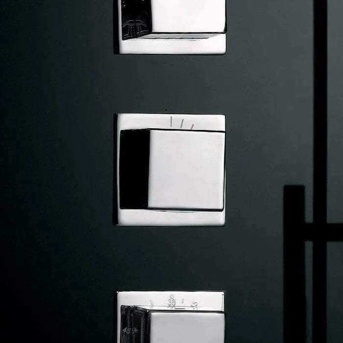 Platinum Steam Shower Platinum DZ972F8 2-Person Walk-In Steam Shower