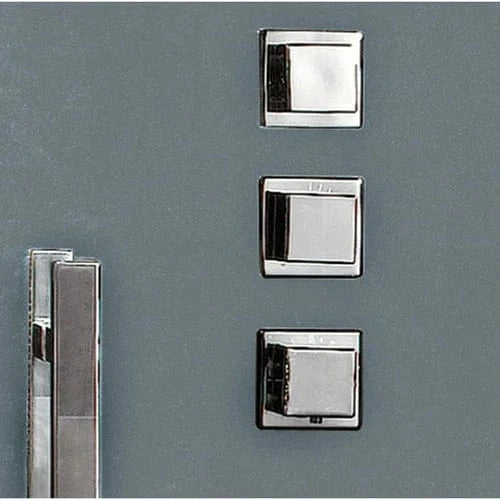 Platinum Steam Shower Platinum DZ972F8 2-Person Walk-In Steam Shower