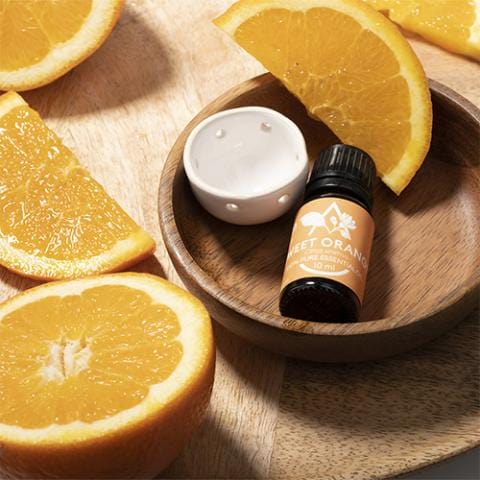 Saunum Sauna Heater Saunum Eucalyptus Aroma Oil with Reservoir, 10ml Aroma Oil Set