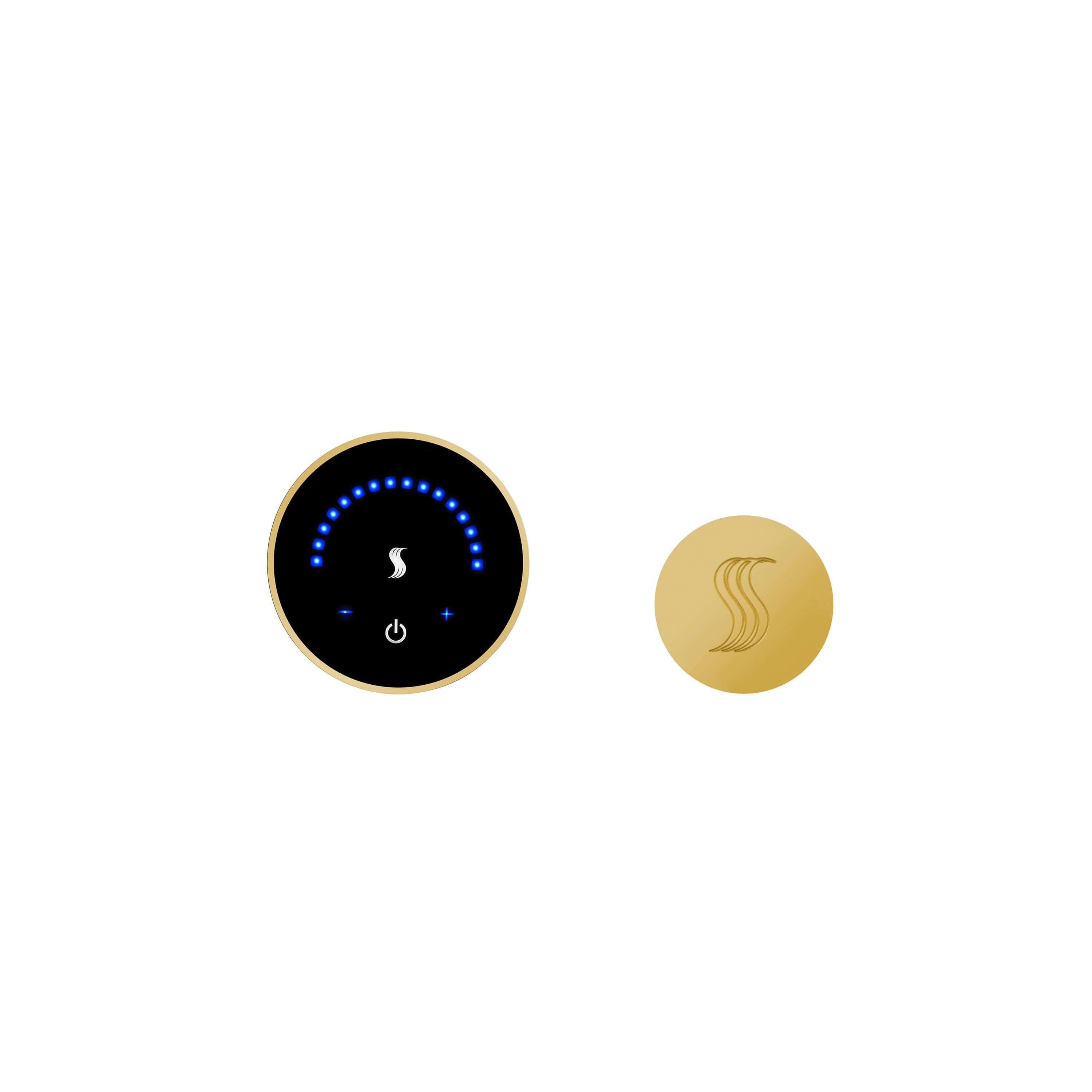 ThermaSol Polished Gold ThermaSol MicroTouch MTC-SVRD Steam Control and Head Kit Round